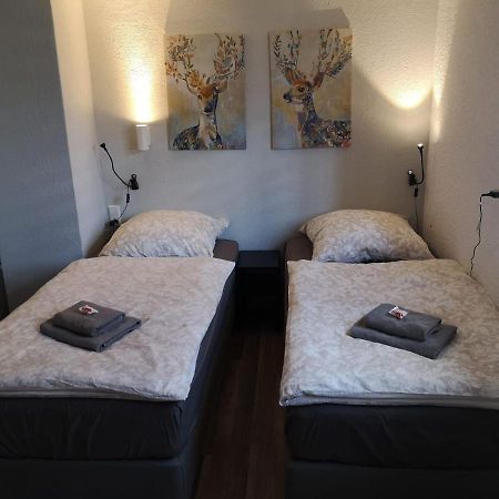 Saidenbachhaus Villa Grosshartmannsdorf Екстериор снимка